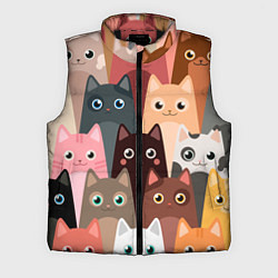 Мужской жилет Котики мультяшные, цвет: 3D-черный