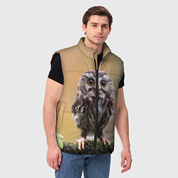 Мужской жилет СОВЕНОК, цвет: 3D-черный — фото 2