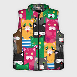 Мужской жилет Удивленные Коты