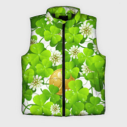 Мужской жилет Ирландский Клевер и Монетка, цвет: 3D-черный