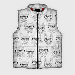 Мужской жилет Кошки в очках, цвет: 3D-красный