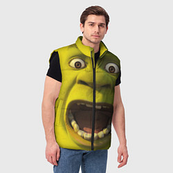 Мужской жилет Shrek is Yelling, цвет: 3D-черный — фото 2