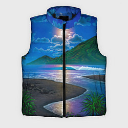 Мужской жилет Гавайский пейзаж, цвет: 3D-черный