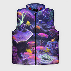 Мужской жилет Коралловые рыбки