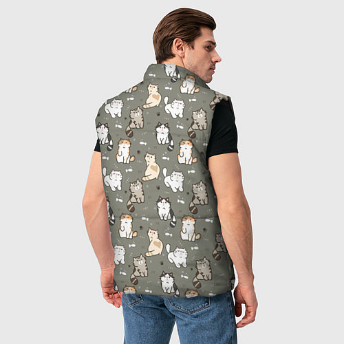 Мужской жилет Кошечки с рыбками / 3D-Черный – фото 4