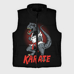 Мужской жилет KARATE T-REX