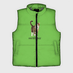 Мужской жилет НАПЁРДЫШ, цвет: 3D-светло-серый