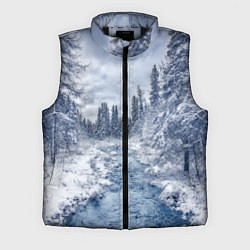 Мужской жилет СНЕЖНЫЙ ПЕЙЗАЖ, цвет: 3D-черный