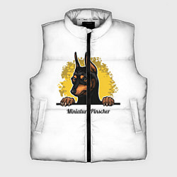 Мужской жилет Мини-Пинчер, цвет: 3D-светло-серый