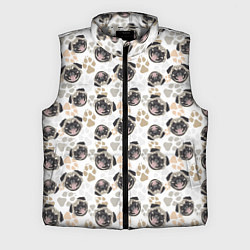 Мужской жилет Собака Мопс Pug