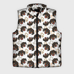 Мужской жилет Такса Dachshund Dog, цвет: 3D-черный