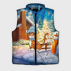 Мужской жилет Тигренок на фоне зимнего дома, цвет: 3D-черный
