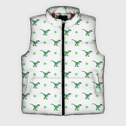 Мужской жилет Динозавры паттерн
