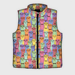 Мужской жилет Красочные Сурикаты, цвет: 3D-светло-серый