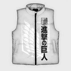 Мужской жилет Атака Титанов: эмблема, цвет: 3D-светло-серый