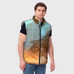 Мужской жилет Огнедышащий Котярыч, цвет: 3D-светло-серый — фото 2