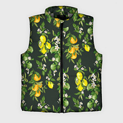 Мужской жилет Апельсины, Лаймы и Лимоны