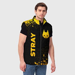 Мужской жилет Stray - gold gradient: символ и надпись вертикальн, цвет: 3D-черный — фото 2