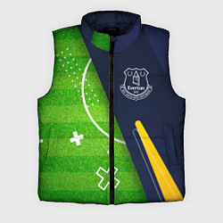 Мужской жилет Everton football field, цвет: 3D-черный