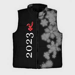 Мужской жилет Кролик 2023 суровый: по-вертикали, цвет: 3D-черный