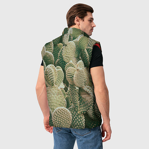 Мужской жилет Поле кактусов / 3D-Красный – фото 4