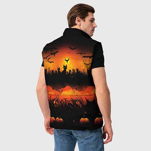 Мужской жилет Кошки хэллоуина / 3D-Черный – фото 4
