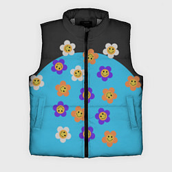 Мужской жилет Ромашковое поле улыбок, цвет: 3D-светло-серый