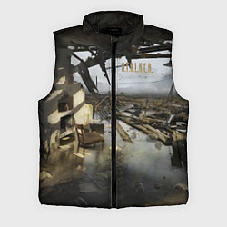 Мужской жилет STALKER 2 дом на болотах, цвет: 3D-черный