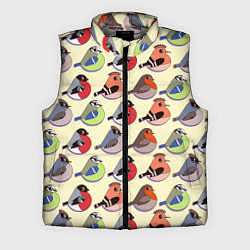 Мужской жилет Веселые птички, цвет: 3D-светло-серый