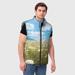 Мужской жилет Ромашковое поле, цвет: 3D-светло-серый — фото 2