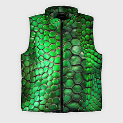 Мужской жилет Зеленая змеиная кожа, цвет: 3D-светло-серый