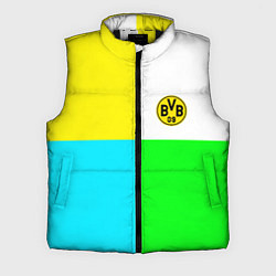 Мужской жилет Borussia color cport