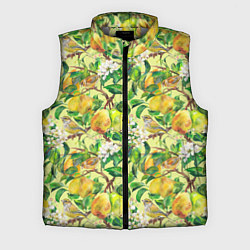 Мужской жилет Птица на грушевом дереве, цвет: 3D-светло-серый