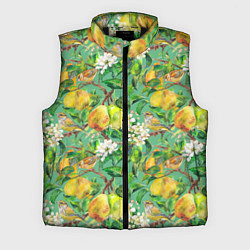 Мужской жилет Груши и птицы, цвет: 3D-черный