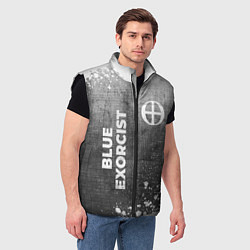 Мужской жилет Blue Exorcist - grey gradient вертикально, цвет: 3D-черный — фото 2