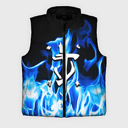 Мужской жилет Doom fire logo steel, цвет: 3D-черный