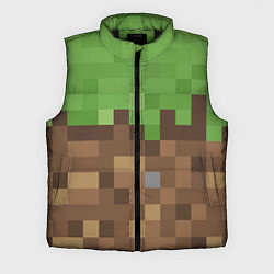 Мужской жилет Earth - Minecraft, цвет: 3D-черный