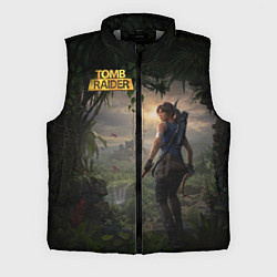 Мужской жилет Lara Croft tomb raider, цвет: 3D-светло-серый