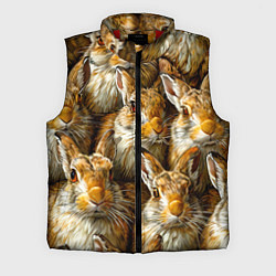 Мужской жилет Зайцы, цвет: 3D-красный