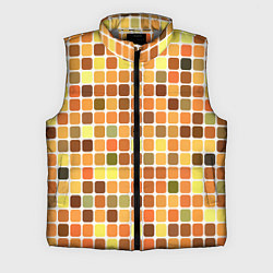 Мужской жилет Осенняя палитра