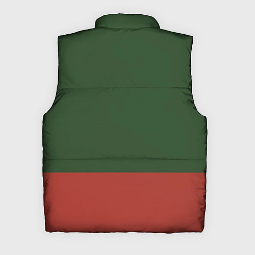 Мужской жилет Мотострелковые войска: герб со щитом / 3D-Светло-серый – фото 2