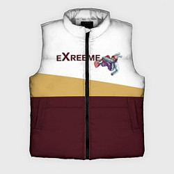 Мужской жилет Экстрим сноуборд, цвет: 3D-светло-серый