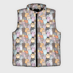 Мужской жилет Котики, цвет: 3D-черный