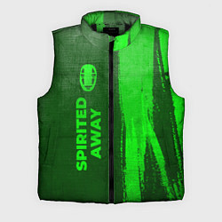 Мужской жилет Spirited Away - green gradient по-вертикали, цвет: 3D-черный