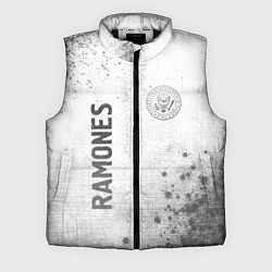 Мужской жилет Ramones - white gradient вертикально, цвет: 3D-черный