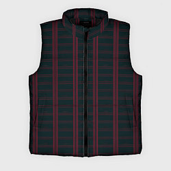 Мужской жилет Color dark cage red stripes, цвет: 3D-черный