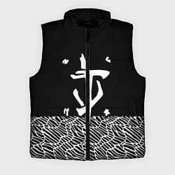 Мужской жилет Doom геометрия линии, цвет: 3D-черный