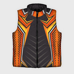 Мужской жилет Мото белка