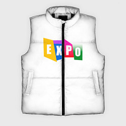 Мужской жилет Expo Выстовка, цвет: 3D-черный