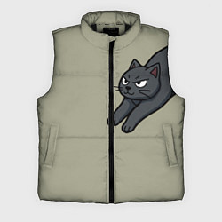 Мужской жилет Подозрительно лежачий кот